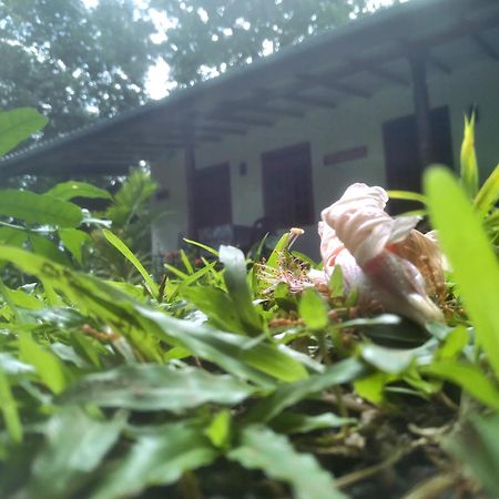 Sigiriya Hillside View Villa Bagian luar foto