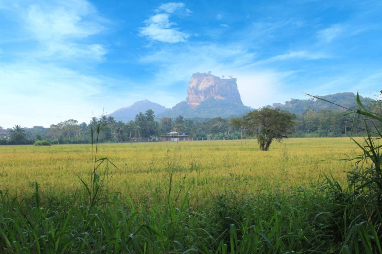 Sigiriya Hillside View Villa Bagian luar foto