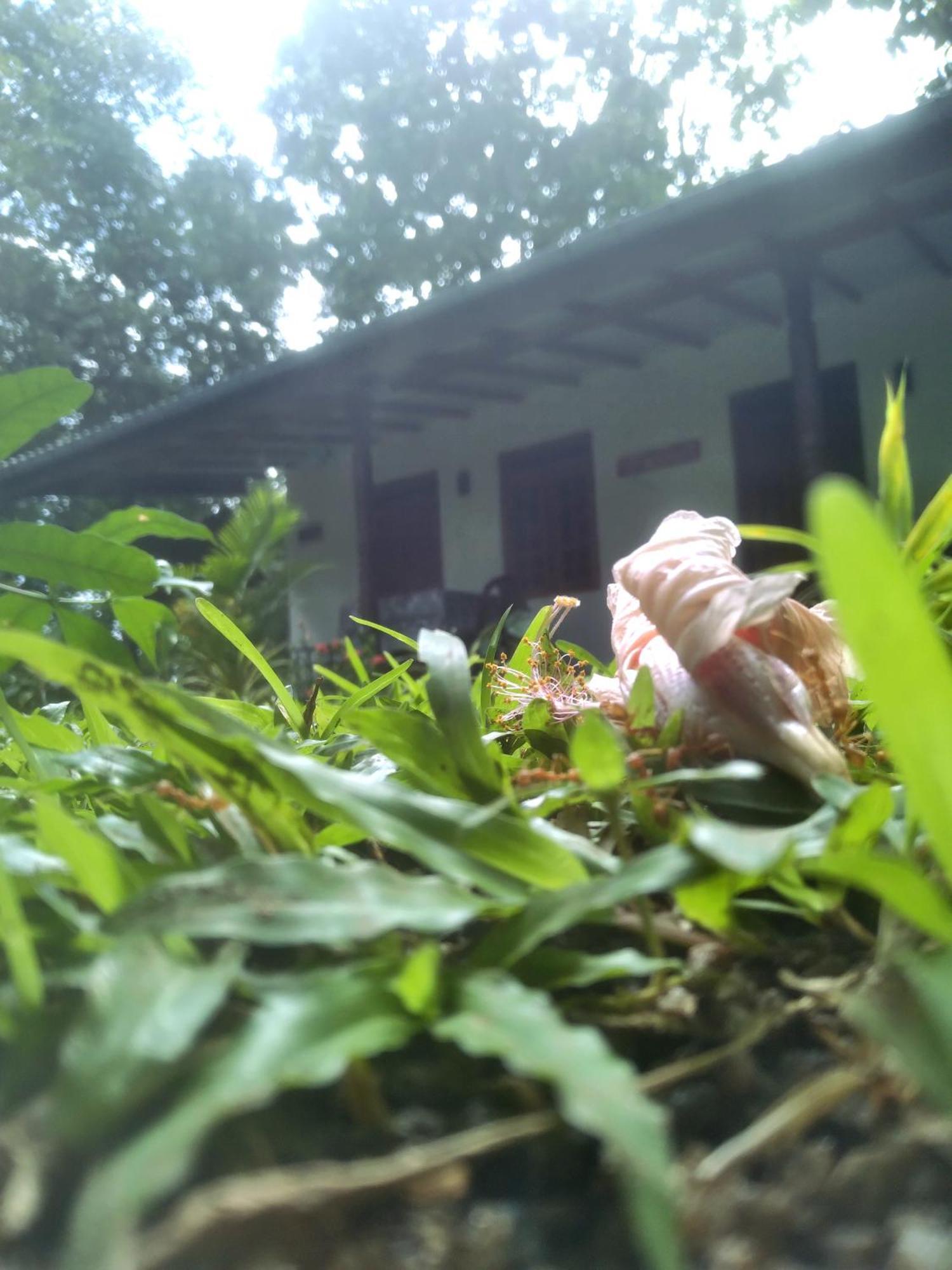 Sigiriya Hillside View Villa Bagian luar foto