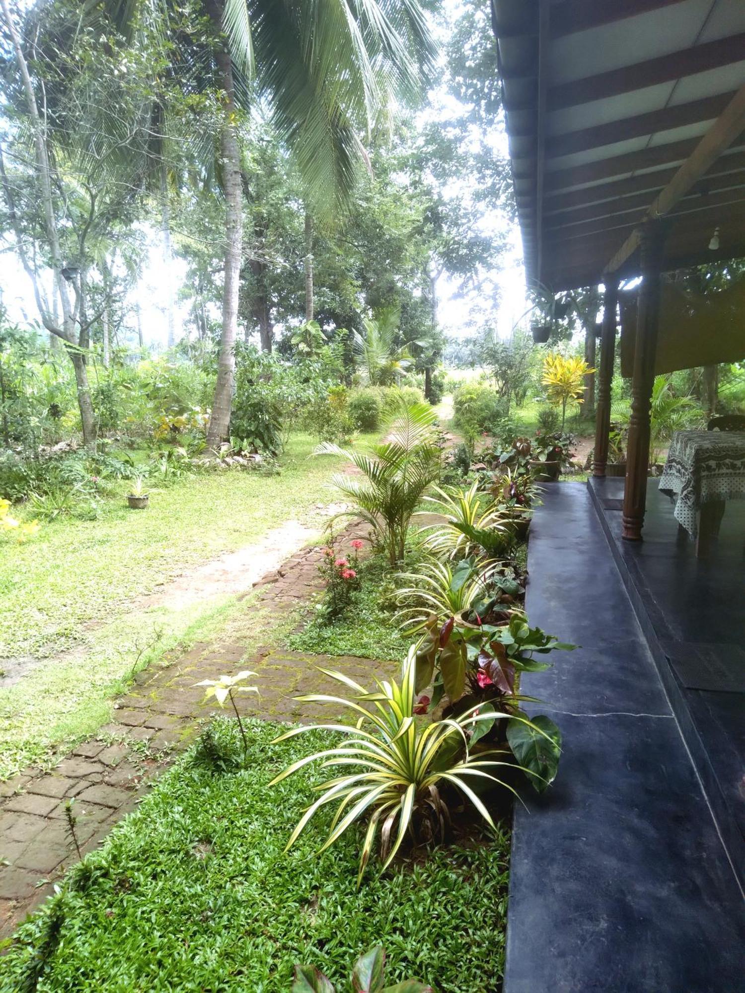 Sigiriya Hillside View Villa Bagian luar foto